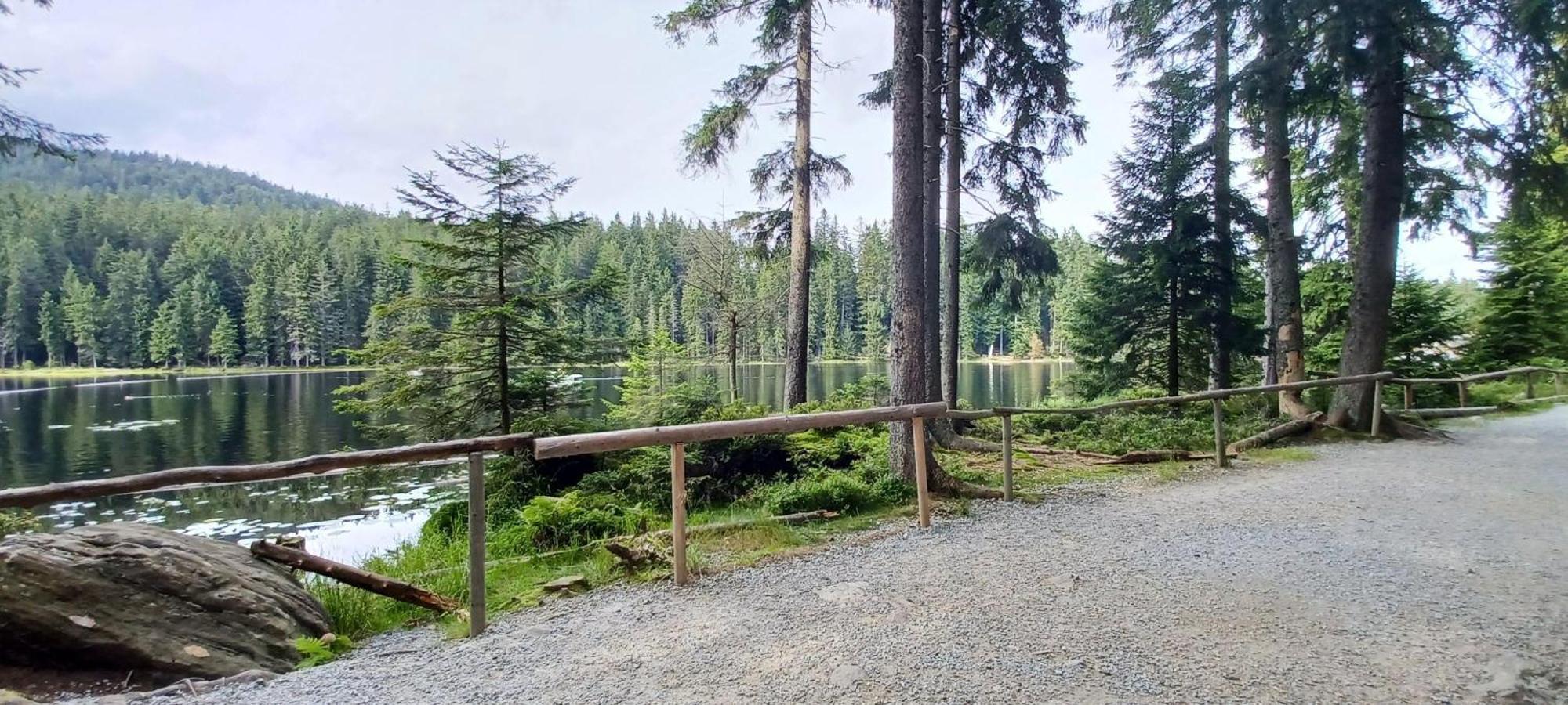 Fewo-Harlachberg-Blick-1 Bodenmais Kültér fotó