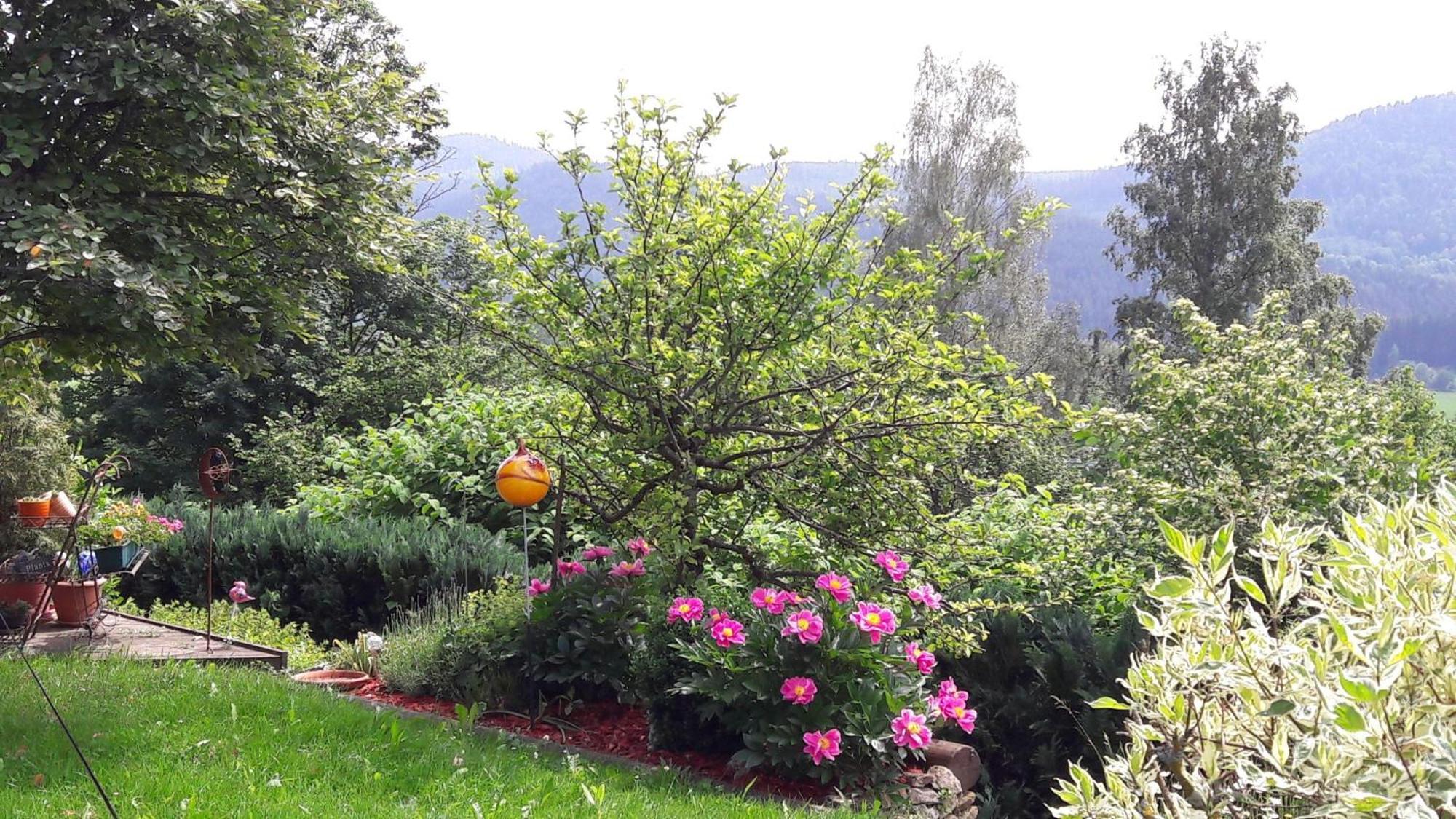Fewo-Harlachberg-Blick-1 Bodenmais Kültér fotó