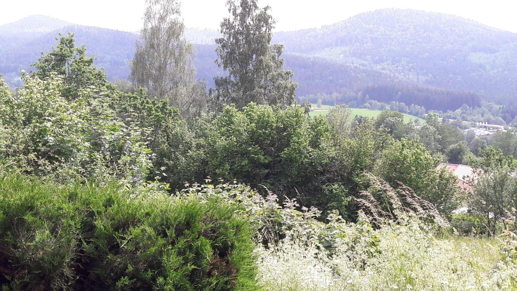 Fewo-Harlachberg-Blick-1 Bodenmais Kültér fotó