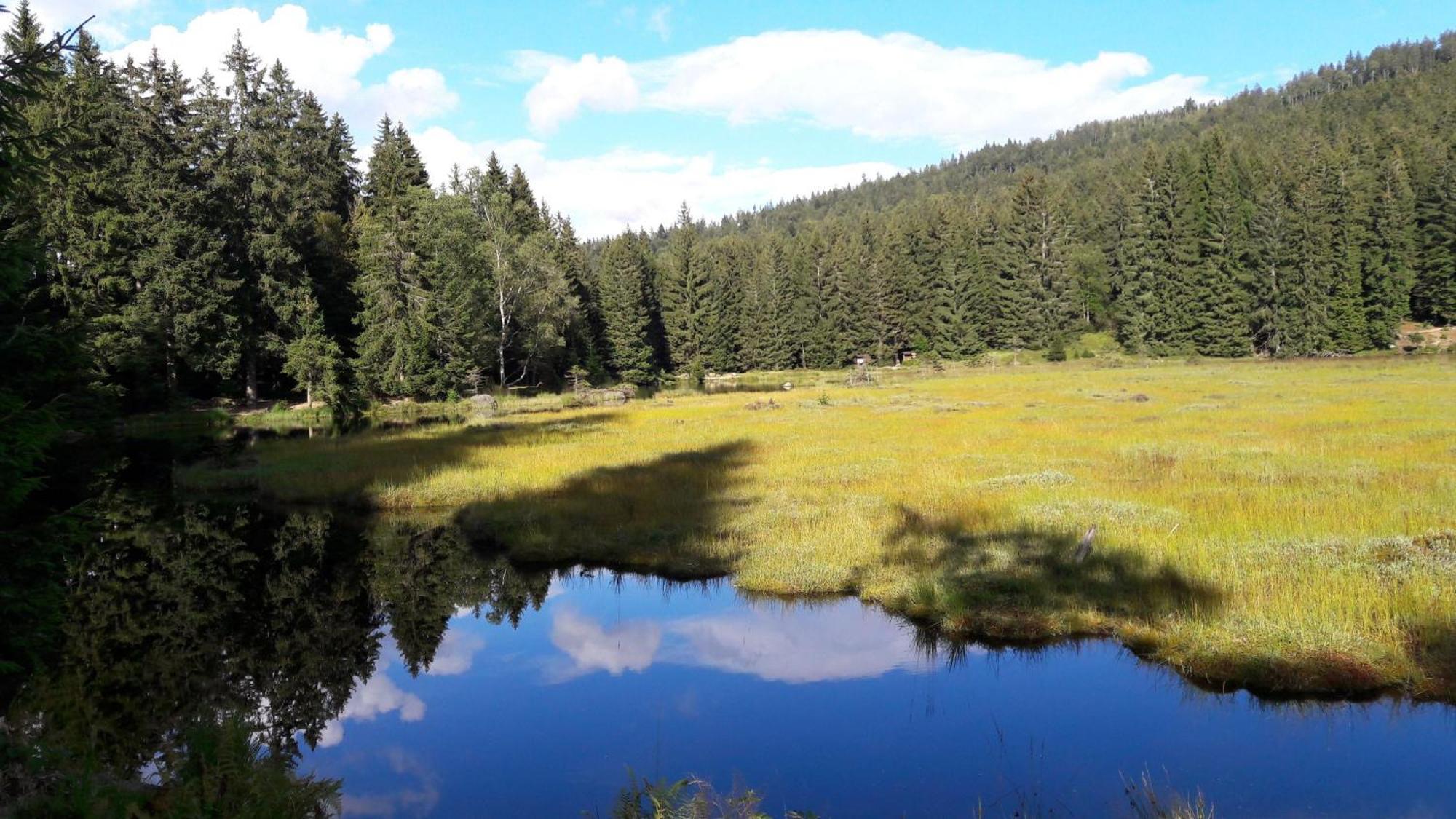 Fewo-Harlachberg-Blick-1 Bodenmais Kültér fotó